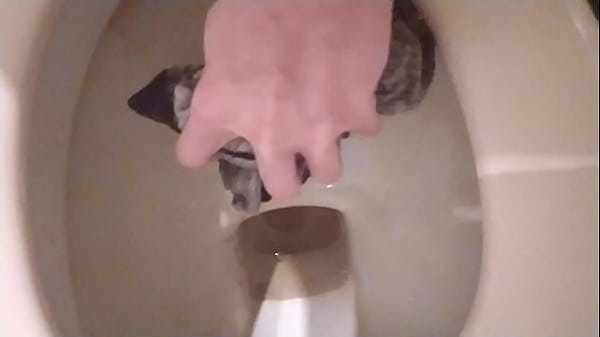 Unterw&auml;sche vom Freund genommen und in die Toilette getan und Pisse danach drauf 