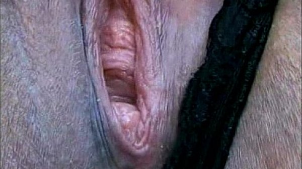 Solo Fatties- 1 with Elizabeth Rollings