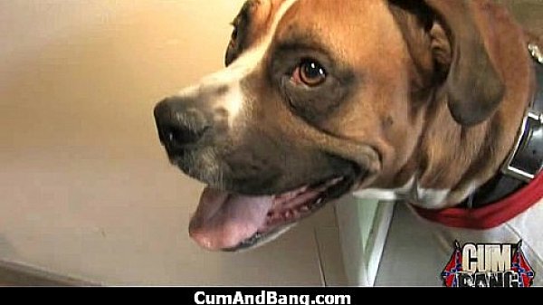 Nasty group blowjob porn video 13