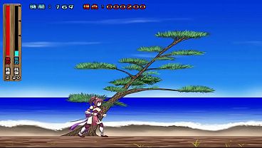 softhouse seal hentai action game  