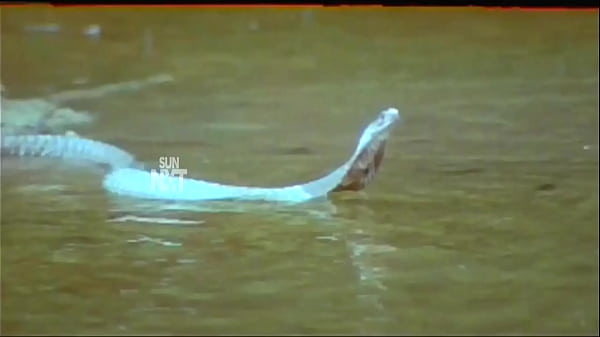 Actress Yamuna nipple slip