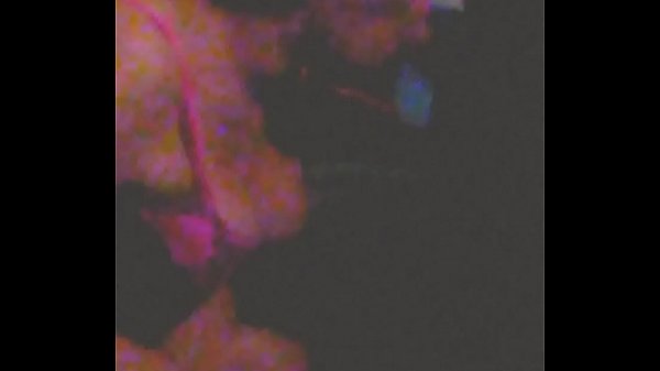 Trans smoking blowjob 