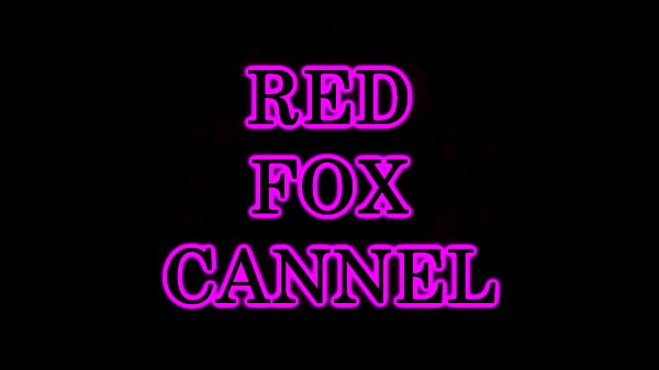 RED FOX READY FACE OFF