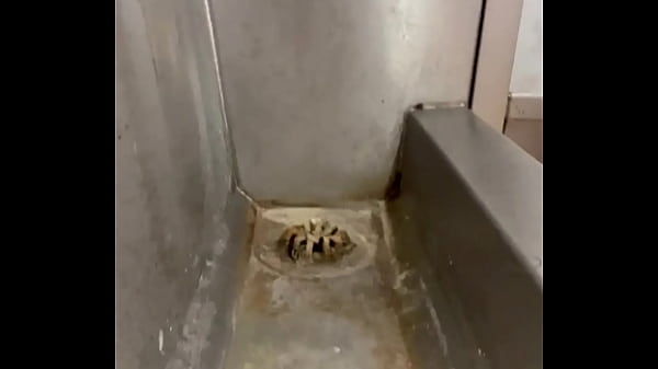 Faggot licks a dirty urinal  