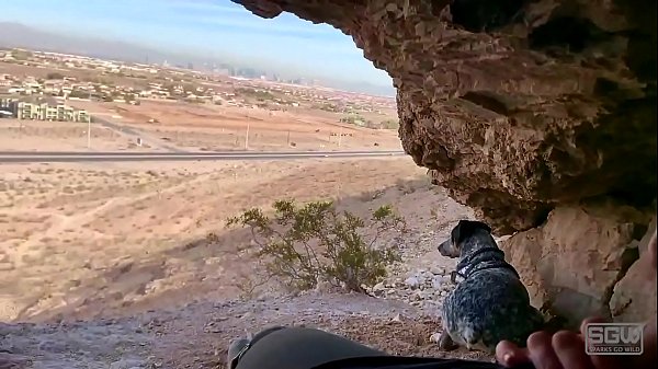 Hot blonde gives boyfriend a public blowjob  