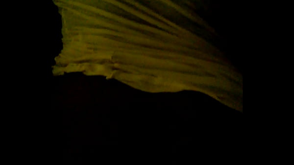 WP 20150823 09 38 12 Pro