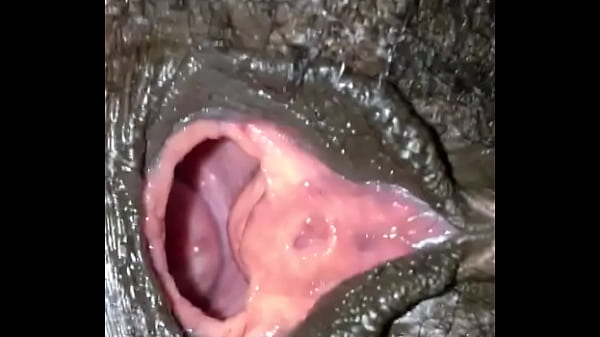 Pussy Hole Gapped