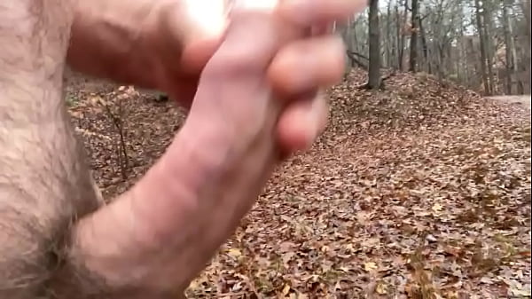 Tribute to content creator bushstroke