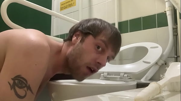 toilet pig cant get enough