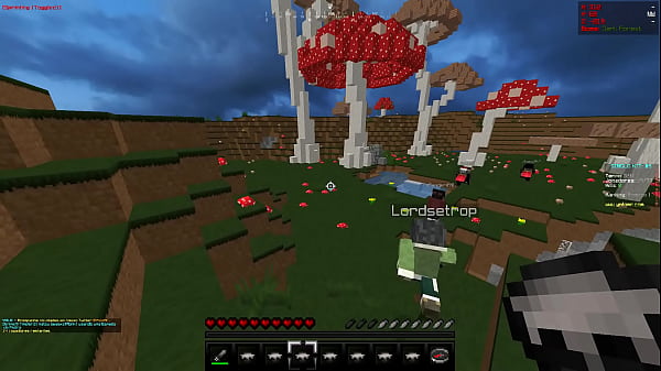 2000 spop bom hg pro player Teezer