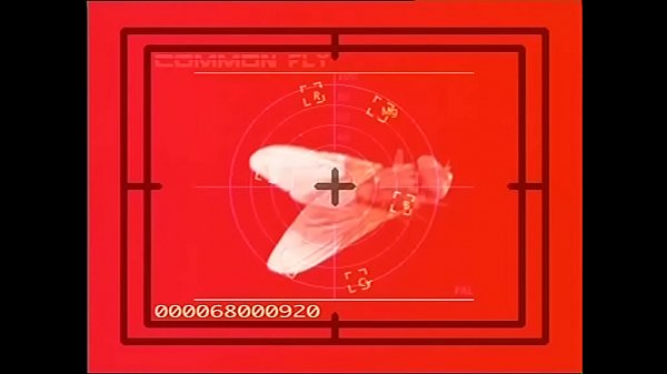 Agenti Segreti - Operazione Ninfomane (Full porn movie)