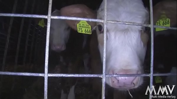 Die B&auml;uerin aus der Gro&szlig;stadt - ob sie gen&uuml;gend Sex hat