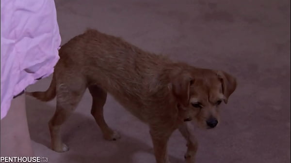 Two Glamorous Blondes in Pussy Fingering Action