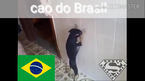 Sem t&iacute;tulo 5 1280x720 3,78Mbps 2017-08-29 04-20-45