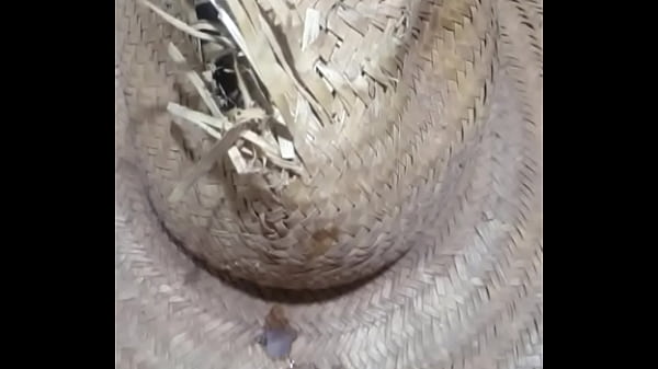 Chap&eacute;u do cowboy cheio de leite  