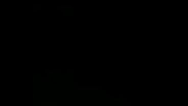 V&iacute;deo de verificaci&oacute;n  