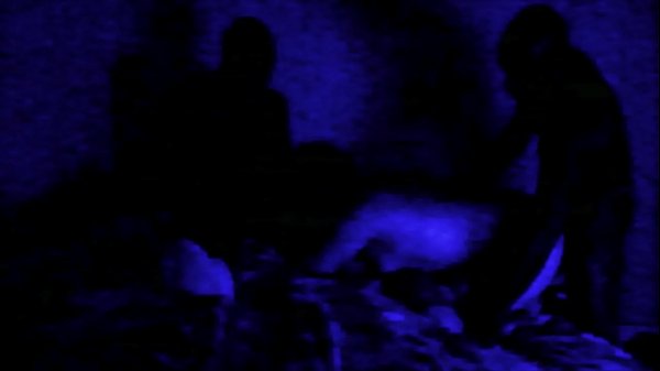 couple bull threesom