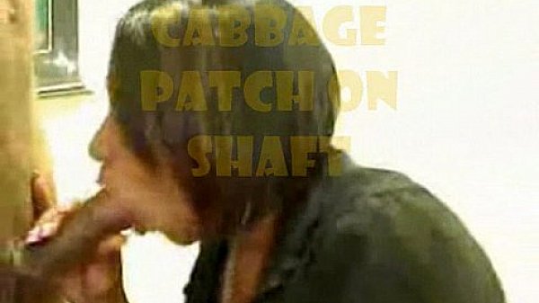 HAMPSTER X -HEAD OF THE WORLD