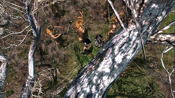 Dragonborn by the forsworn  