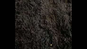 V&iacute;deo de verifica&ccedil;&atilde;o  