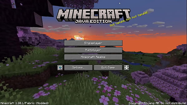 Block game gone sexual