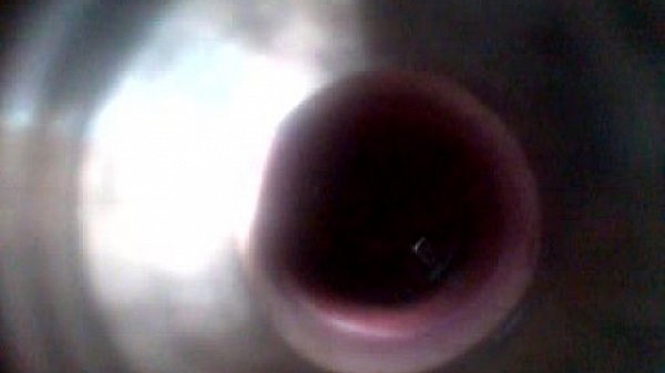 video-2013-05-01-05-09-47  