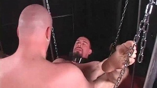 Hair gay bear in a hardcore BDSM fuck gays