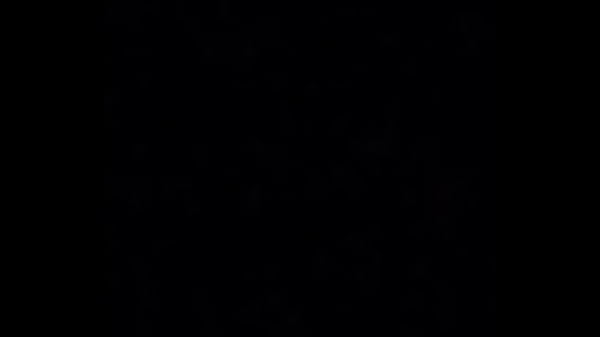 The real yerbie berbies yookie dookies ft. Chandra Bird And Camille Bird and Dogwood Danielle Ohio version the wanna be Christinas Bs gb audio