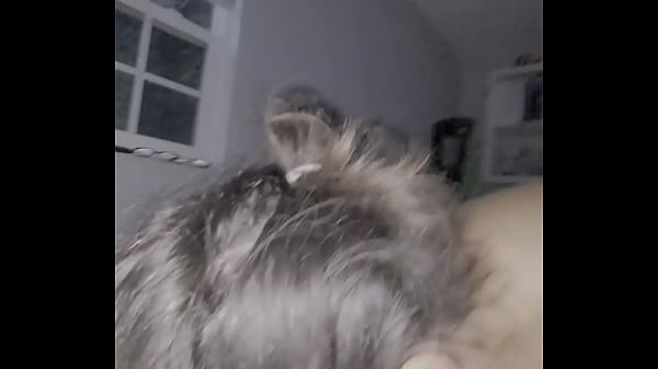 MILF sucking my dick  