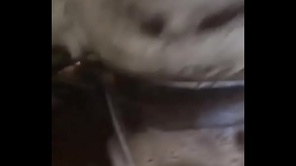 D7A31F36-95DB-4486-BAAD-C00141FEDD7C.MOV 