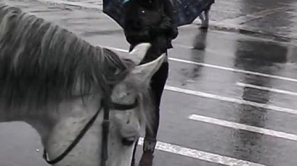 Biggest amateur dick probing girl and cumming in her mouth