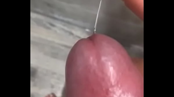 Horny penis - smell is good - you want sniff my cock?  