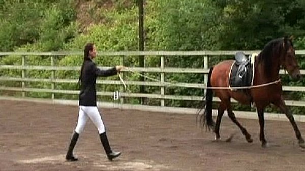 Harmony - Young Harlots Riding School - scene 6