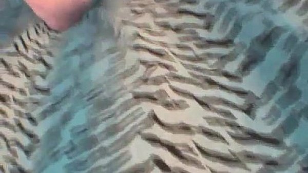 Big tits blonde Shelly toying in pink stockings