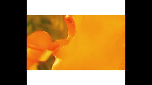 Biggest Cumshot EVER!