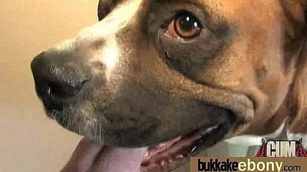 porn sextape of interracial group fun 7