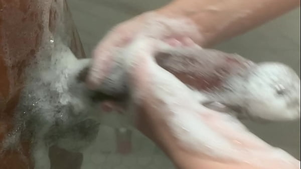 Stepsister tries seducing stepbrother