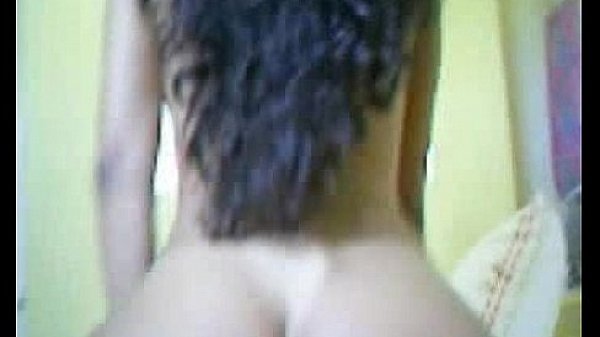 Casal Amigo do cadela no cio