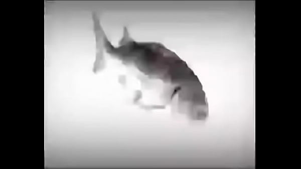 Da fuckin fish spinnin into his sister groins dasdas