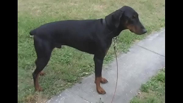 Tanned blonde cookie drilled  