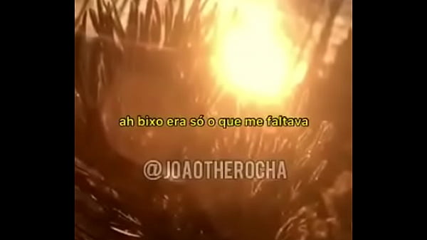 Editor de v&iacute;deos