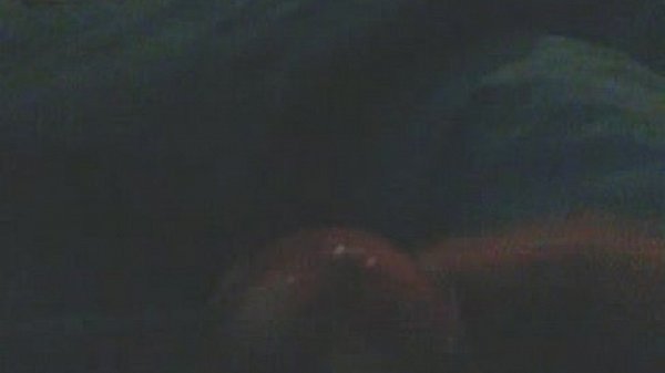 video-2015-11-04-04-45-34