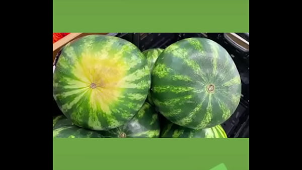 Justsmilesanjoy - Update #120 (2023-02-25T00:40:39.000Z) 