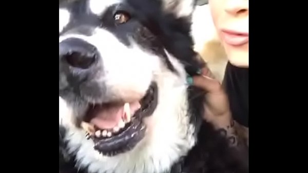 compilation of slutty s. pornstar felicity