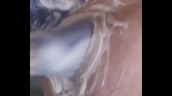 Movie No.90 20141010 113723