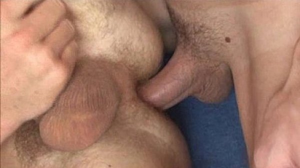 Breeding Tom Fishman