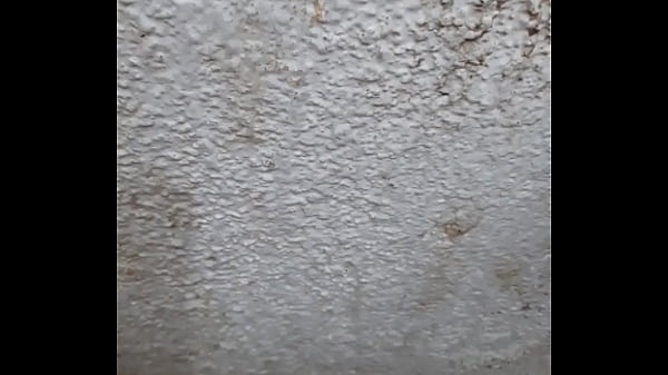 Mega culona de tamalera