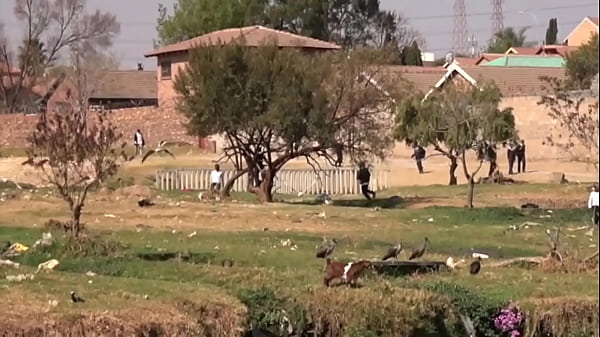 Amateur Africans in Real Homemade Fucking Tape