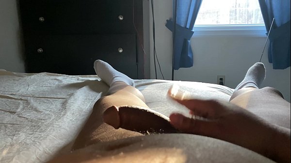 Trabajar desde casa puede ser DURO con la madera de la ma&ntilde;ana manteni&eacute;ndome en la cama. El bosque de la ma&ntilde;ana quiere que me quede y juegue en la cama.