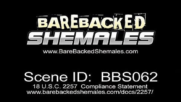 Brunette Tranny Have a Hardcore Sex